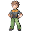 Brock, líder de gimnasio