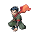 Koga, líder de gimnasio